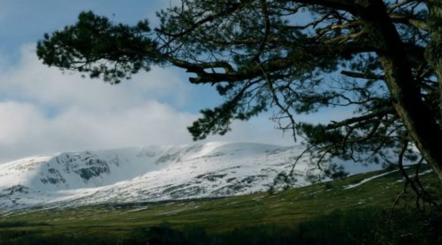 1080p-outlander-s01e05-rent-mkv_001503086.jpg