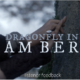 Outlander Cast: Dragonfly In Amber – Listener Feedback – Episode 70