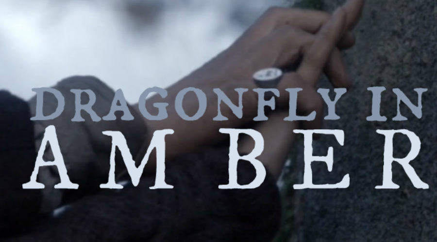 Dragonfly2Bin2BAmber2BOutlander2BCast2Blistener2Bfeedback.png