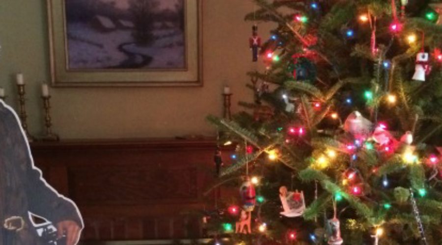 jamie2Bchristmas2Btree.jpg