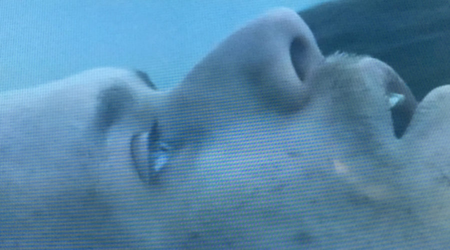 use of breath, Outlander, Outlander Cast, Outlander cast blog, season 2