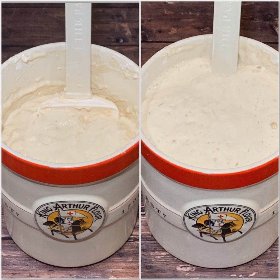 Before and after feeding sourdough starter collage